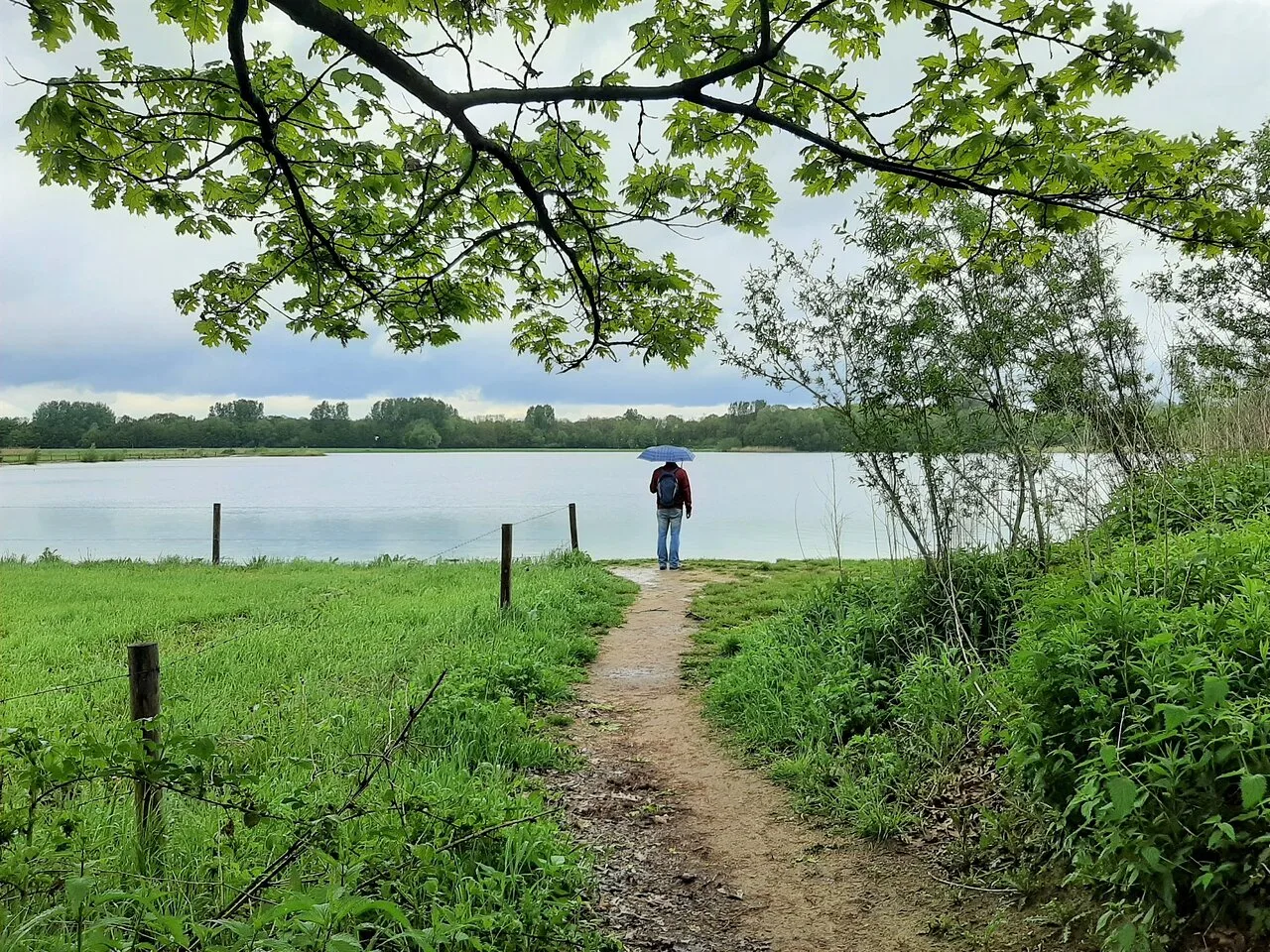 Landschap, beken en Het Hilgelo